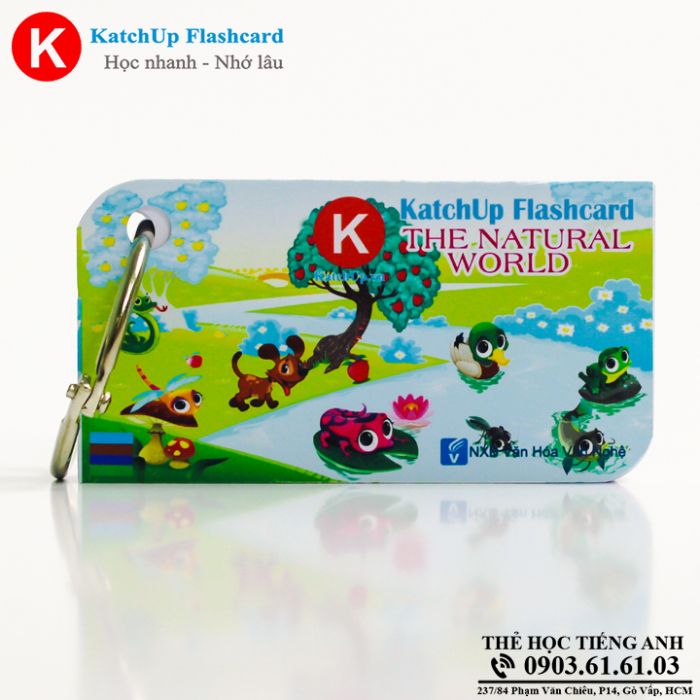Bộ Flashcard KatchUp - The natural world - Best Quality (14B)