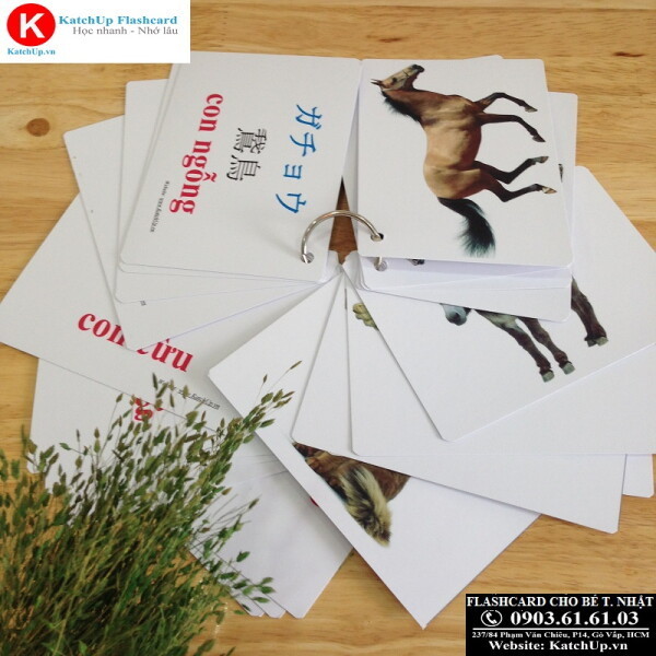 Flashcard tiếng Nhật cho bé KatchUp với Chủ đề Con vật